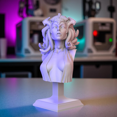Fichier STL Buste Meduse